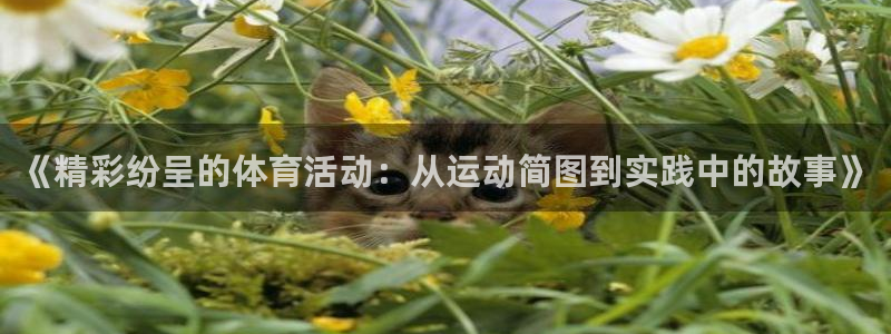 k1体育十年品牌值得信赖：《精彩纷呈的体育活动：从运动简图到实践中的故事》