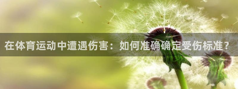 k1体育十年品牌值得信赖网址