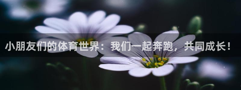 k1体育棋牌