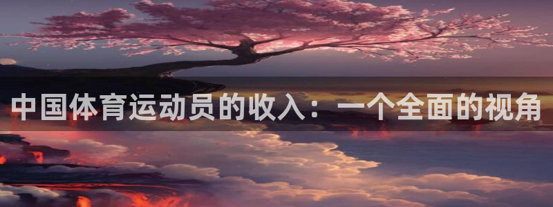 k1体育十年品牌：中国体育运动员的收入：一个全面的视角