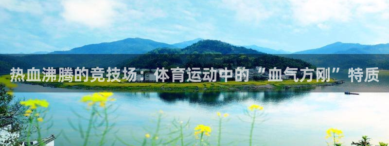 k1体育棋牌网址