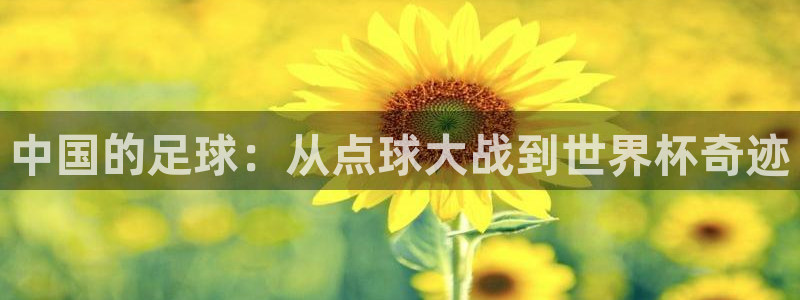 k1体育十年登录入口：中国的足球：从点球大战到世界杯奇迹