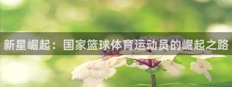k1体育棋牌：新星崛起：国家篮球体育运动员的崛起之路