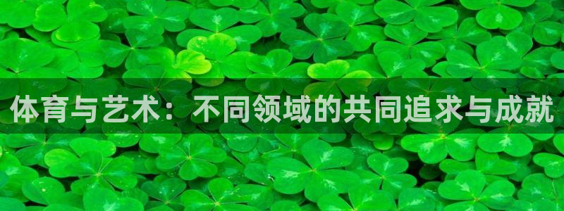 k1体育十年品牌：体育与艺术：不同领域的共同追求与成就