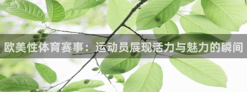 k1体育平台下载