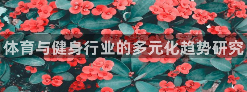 k1体育app下载