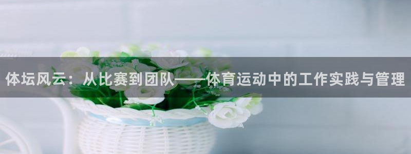 k1体育平台下载：体坛风云：从比赛到团队——体育运动中的工作实践与管理